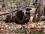 MVC459S.jpg