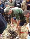MVC554S.jpg
