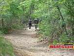 MVC045S.jpg
