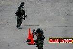 IMG3777.jpg