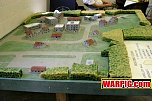 IMG3884.jpg