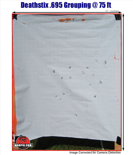 Paintball Target Accuracy
