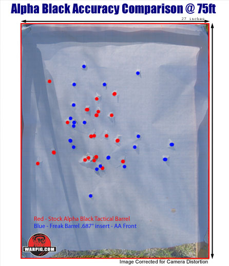 Tippmann Alpha Black Accuracy Test Target