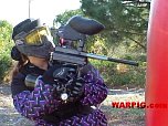 MVC017S.jpg
