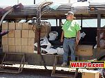 MVC184S.jpg
