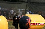 IMG2681.jpg