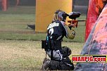 IMG2701.jpg
