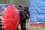 IMG2762.jpg