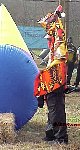 MVC026S.jpg