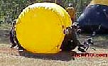 MVC184S.jpg