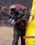MVC184S.jpg