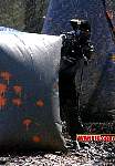 IMG3783.jpg