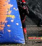 IMG3812.jpg