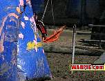 IMG3819.jpg