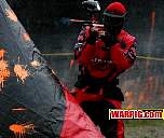 IMG3378.jpg
