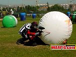 Scalps03141.jpg