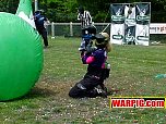 EvilPigs03474.jpg