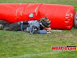MayhemTigers03513.jpg