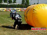 adrenaline03528.jpg