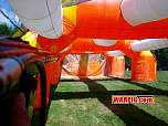 Emagonchronorange01592.jpg