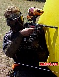 MVC274S.jpg