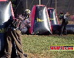 MVC294S.jpg