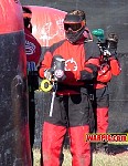 MVC313S.jpg