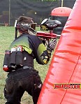 MVC065S.jpg