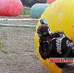 MVC116S.jpg