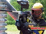 MVC184S.jpg