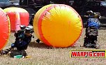 MVC197S.jpg