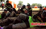 MVC243S.jpg