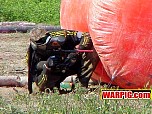 MVC261S.jpg
