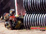 MVC317S.jpg