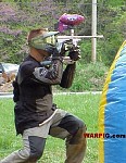 MVC293S.jpg
