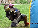 MVC294S.jpg