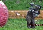 MVC027S.jpg
