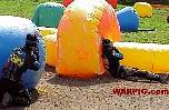 MVC247S.jpg