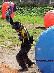 MVC248S.jpg