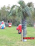 MVC012S.jpg