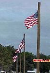 MVC029S.jpg