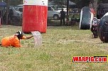 MVC251S.jpg