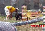 MVC287S.jpg