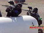 MVC239S.jpg