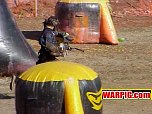MVC395S.jpg