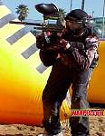 MVC184S.jpg