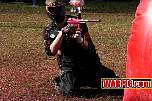 IMG1778.jpg