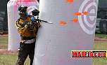 IMG1850.jpg