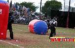 IMG1893.jpg