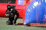 IMG1812.jpg